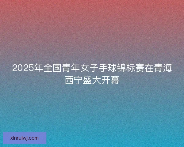 2025年全国青年女子手球锦标赛在青海西宁盛大开幕