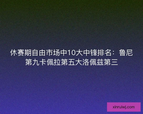 休赛期自由市场中10大中锋排名：鲁尼第九卡佩拉第五大洛佩兹第三